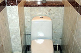 Ремонт туалета